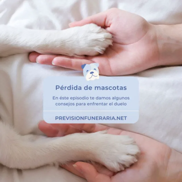 Portada del episodio sobre duelo por pérdida de mascotas: dos manos sosteniendo la pata de un perro