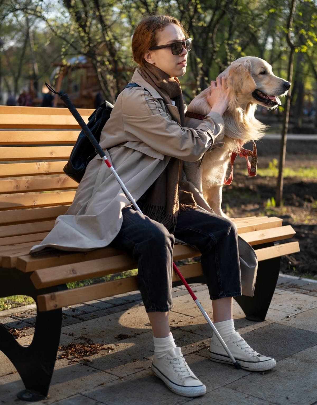 perros de asistencia