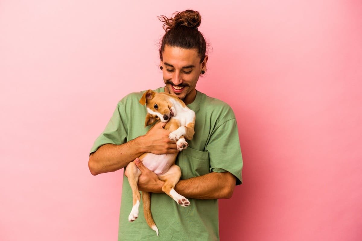 amor a las mascotas es igual que el de una pareja